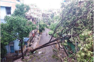 'Mother of All Disasters': Mamata Says 72 Killed by Cyclone Amphan in Bengal, Announces Rs 2.5L Aid For Victims