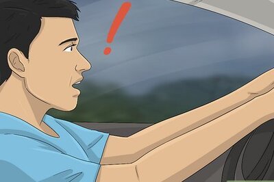 How to Save an Animal That's Been Hit by a Car