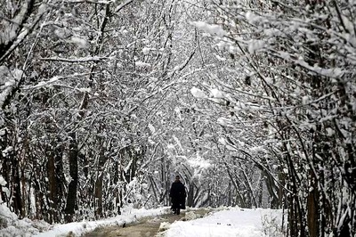 Power Outages Plunge Kashmir Valley Into Darkness After First November Snowfall Since 2009