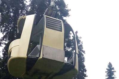 7, Including Four From Delhi, Dead as Tree Falls on Cable Car in J&K's Gulmarg