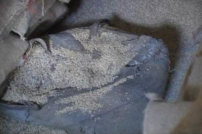 Grains rot as flood victims go hungry