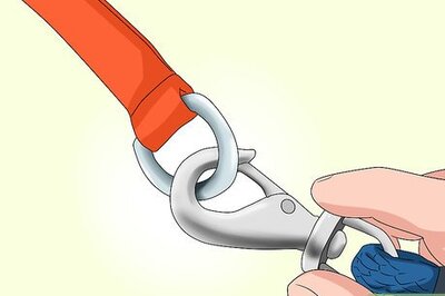 How to Put a Gentle Leader on a Dog