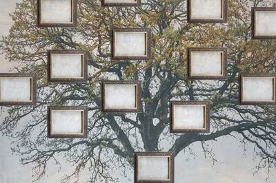 Pakistani-Canadian Woman Shares Her Family Tree Tracing Roots To The Mughals