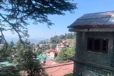 News18 Evening Digest: Shimla Battle Promises Heady Mix But Locals Worry About Future of 'Queen of Hills' and Other Stories