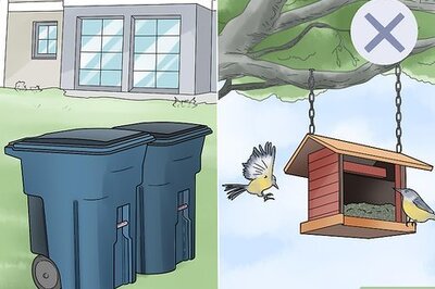 How to Keep Cats Out of Your Yard