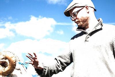 Icelandic film on sheepfarmer brothers wins Cannes 'Regard' prize