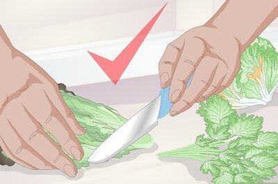 How to Treat Gastrointestinal Problems in Guinea Pigs