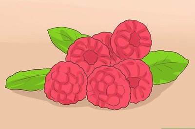 How to Follow a Healthy Diet for Multiple Sclerosis