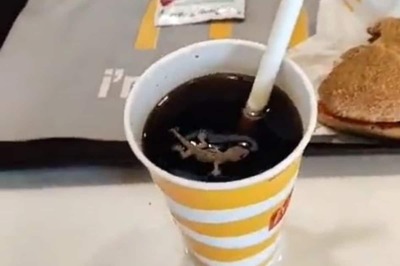 McDonald's Customer in Ahmedabad Shocked After Finding Lizard in Drink, Outlet Sealed