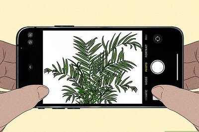 How to Use Your iPhone Camera to Identify Plants & Flowers