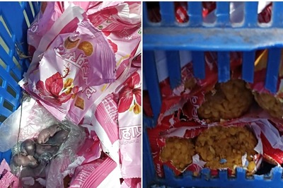 Siddhivinayak Temple Trust Launches Probe After Viral Video Shows Mice on Prasad Packets