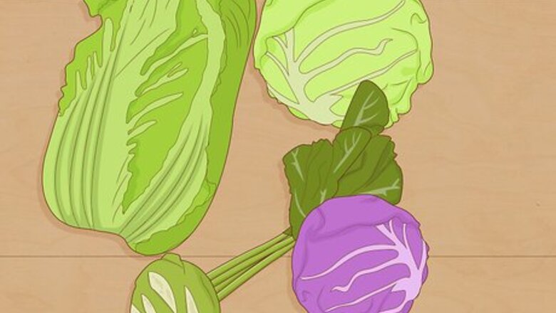 How to Grow a Cabbage