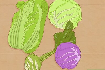 How to Grow a Cabbage