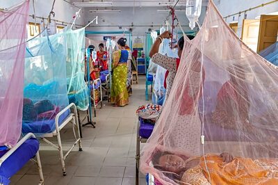 TMC Feels the Sting as Politics Over Dengue Hots Up, BJP & Congress Flay 'Laggard' Response to Uptick