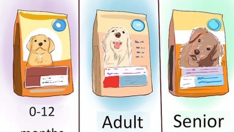 How to Care for a Toy Poodle