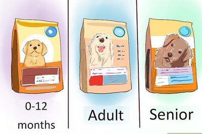 How to Care for a Toy Poodle