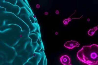 5-Year-Old Kerala Girl Dies Of 'Brain-Eating Amoeba'