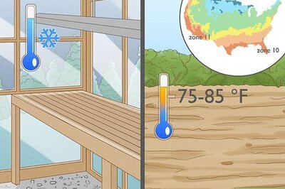 How to Grow Black Pepper