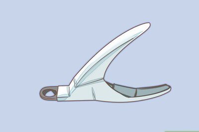 How to Put Nail Caps on Your Cat