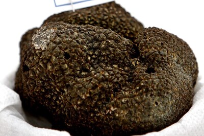 Paris Truffle Find Hailed as Boon For Urban Gardeners