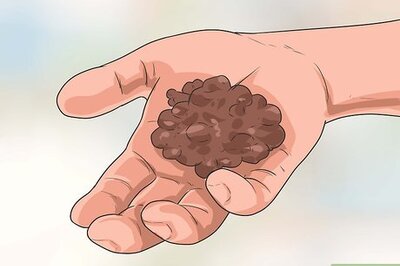 How to Train an Adult Dog