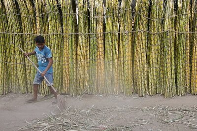 India Exports 33.5 Lakh Tonnes Sugar so Far in 2019-20 Marketing Year