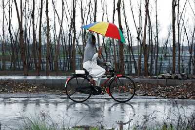 World Bicycle Day 2020: Date, Significance and Quotes to Mark the Occasion