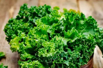 Should You Include Kale Raw Or Cooked In Your Diet? Busting Myths About Green Leafy Vegetable