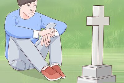 How to Get Another Dog After a Pet Dog's Death