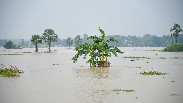 Senior Citizen Keeps Herself Afloat For 13 Hours in Flood-hit West Bengal