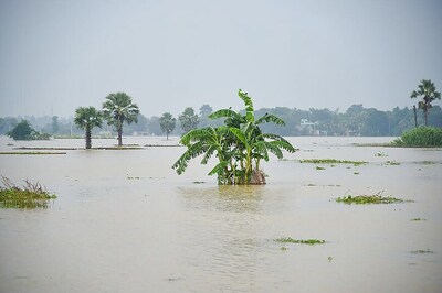 Senior Citizen Keeps Herself Afloat For 13 Hours in Flood-hit West Bengal
