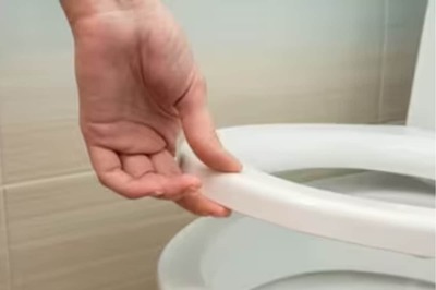 Why You Should Not Flush Your Pet’s Poop Down The Toilet