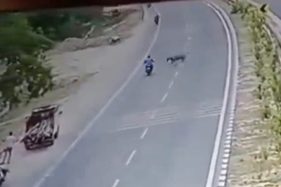 Ayodhya Biker Dies After Collision With A Nilgai, Horns Peirced In His Chest | Caught on Cam