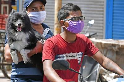 Safe for Dogs, Neutralises Delta & Omicron Variants: What is Anocovax, India's First Covid Jab for Animals