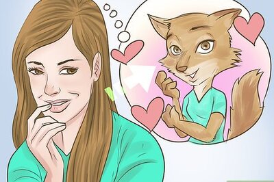 How to Be a Furry