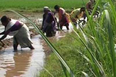 Budget allocates Rs 39,000 crore for rural jobs scheme