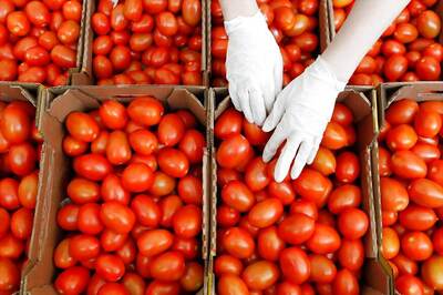 Eat Tomatoes to Fight Liver Cancer, Inflammation