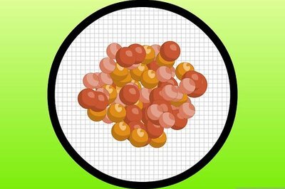 How to Grow Houseplants in Water (Hydroculture)