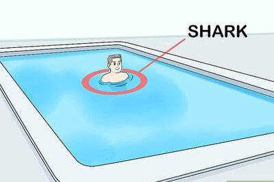 How to Play Sharks and Minnows
