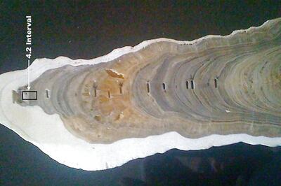 Welcome to the 'Meghalayan Age', A New Phase in Earth's History