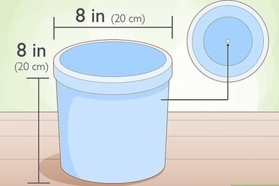 How to Grow Chives Indoors