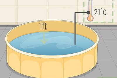 How to Kill Fleas With Dawn Dishsoap
