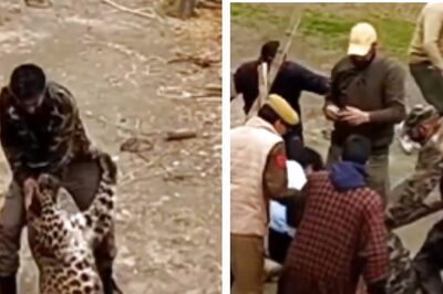 On Cam | Leopard Attacks Wildlife Official While They Tried to Capture Him, 3 Injured