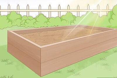 Planting Garlic in the Fall: How, When, and Where