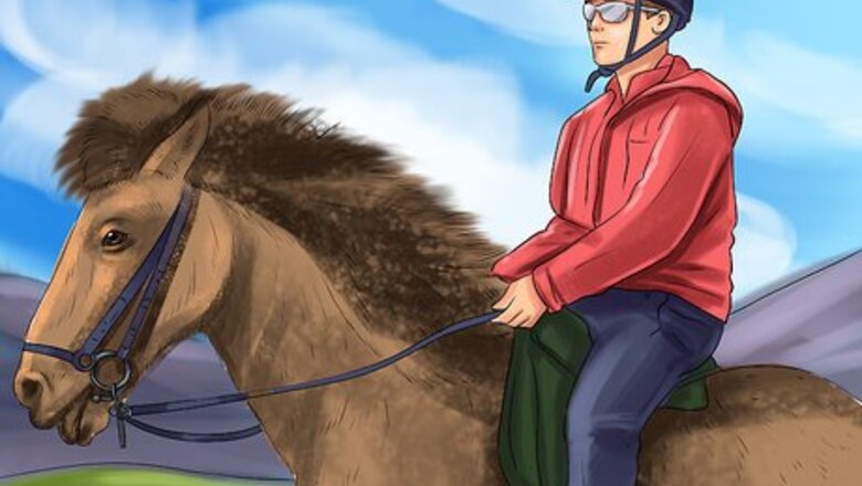 How to Ride an Icelandic Horse
