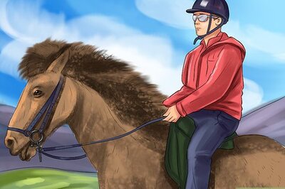 How to Ride an Icelandic Horse