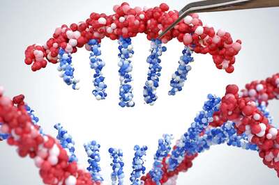 Scientists Discover Potential Treatment for Common Childhood Cancer