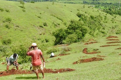 Maharashtra Village Takes Afforestation up a Notch