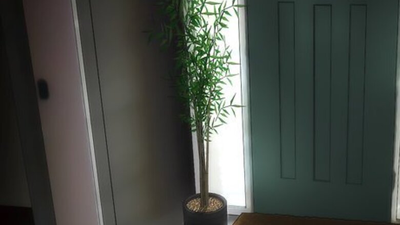 How to Choose Low‐Maintenance Houseplants