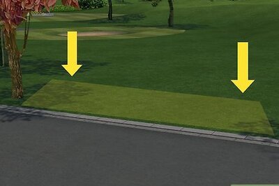 How to Plant a Beech Hedge